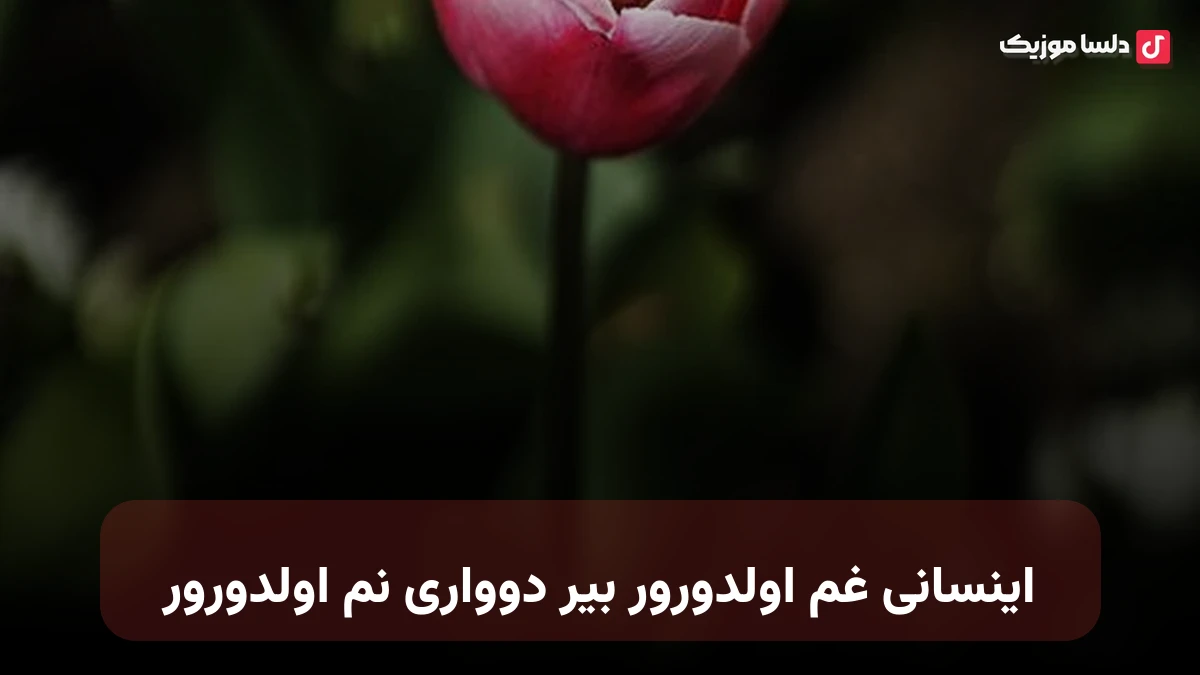 اینسانی غم اولدورور بیر دوواری نم اولدورور